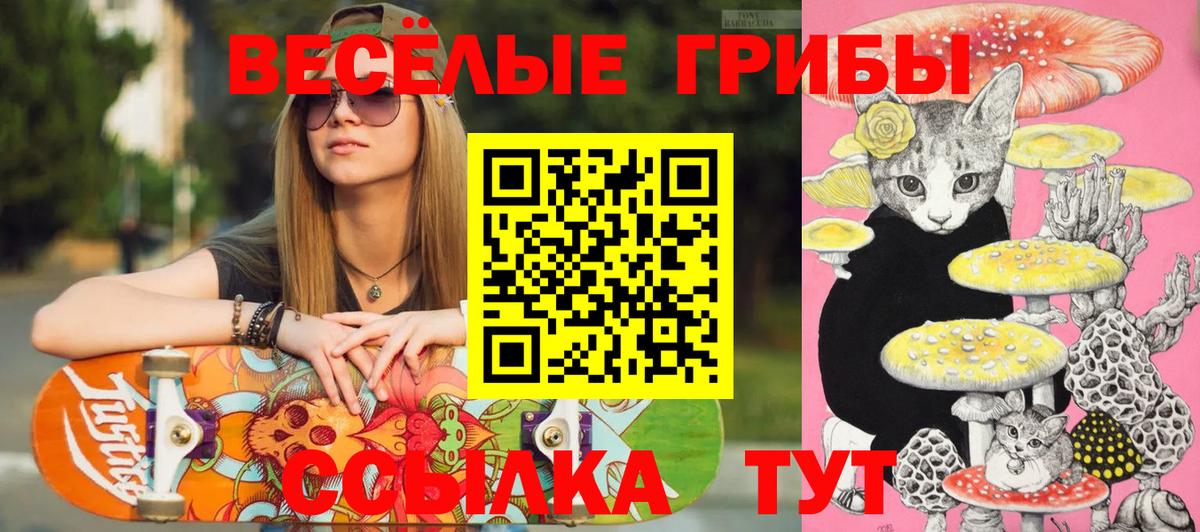 Заводоуковск  Псилоцибиновые грибы Psilocybine cubensis  Вход с VPN 